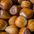 Wild Harvest - hazelnuts