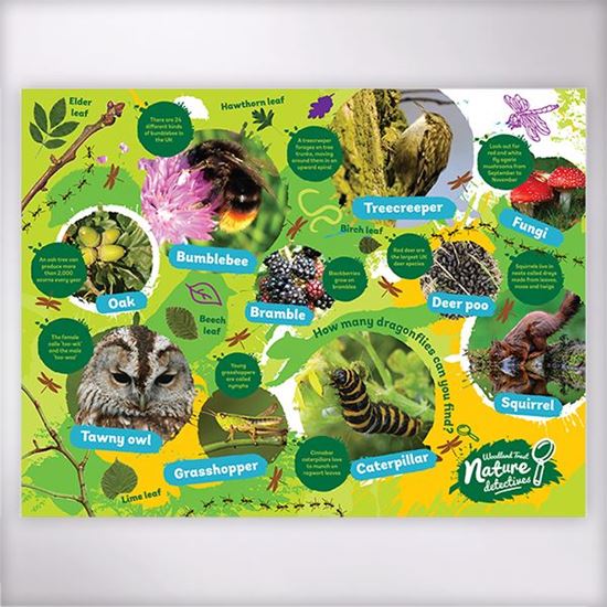 What's Hiding in the Woods jigsaw What's Hiding in the Woods jigsaw