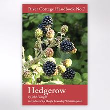 Buy Hedgerow Book Woodland Trust Shop Woodland Trust Shop