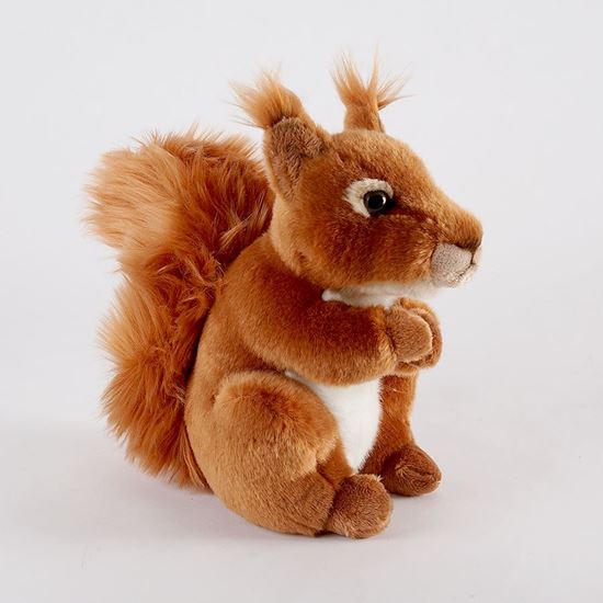 squirrel soft toy