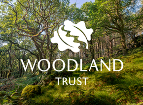 Trees for Pollinators For Sale - Woodland Trust | Woodland Trust Shop