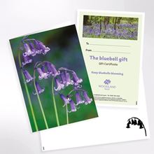 Picture of Keep bluebells blooming - postal