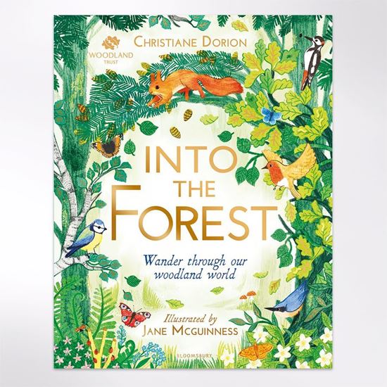 The Woodland Trust: Into the Forest The Woodland Trust: Into the Forest