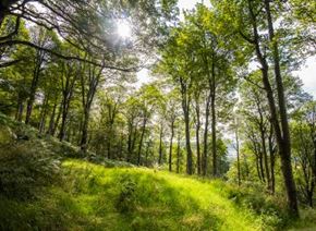 Picture for category Instant gifts