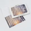 Snow and birch trees pack of eight Christmas cards