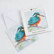 Kingfisher in snow design pack of eight Christmas cards