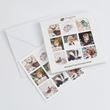 Wildlife moments design pack of eight Christmas cards 