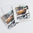 Highland cow design pack of eight Christmas cards