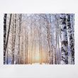 Snow and birch trees Christmas cards