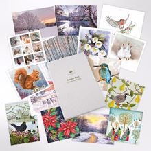 Bumper pack of mixed UK woodland and wildlife designs Christmas cards
