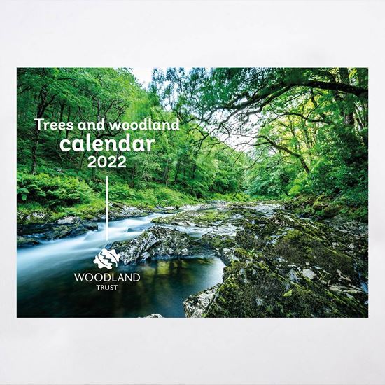River and woodland cover image