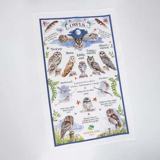 Woodland Trust Owls organic cotton owls tea towel