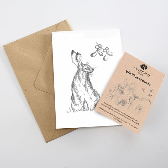 Woodland Trust Hare and Mistletoe card with wildflower seed packet