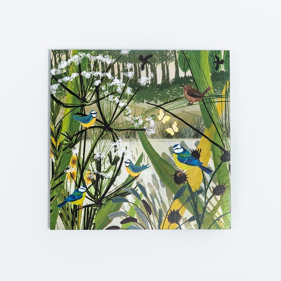 Woodland Trust notecards woodland creatures Woodland Trust Shop