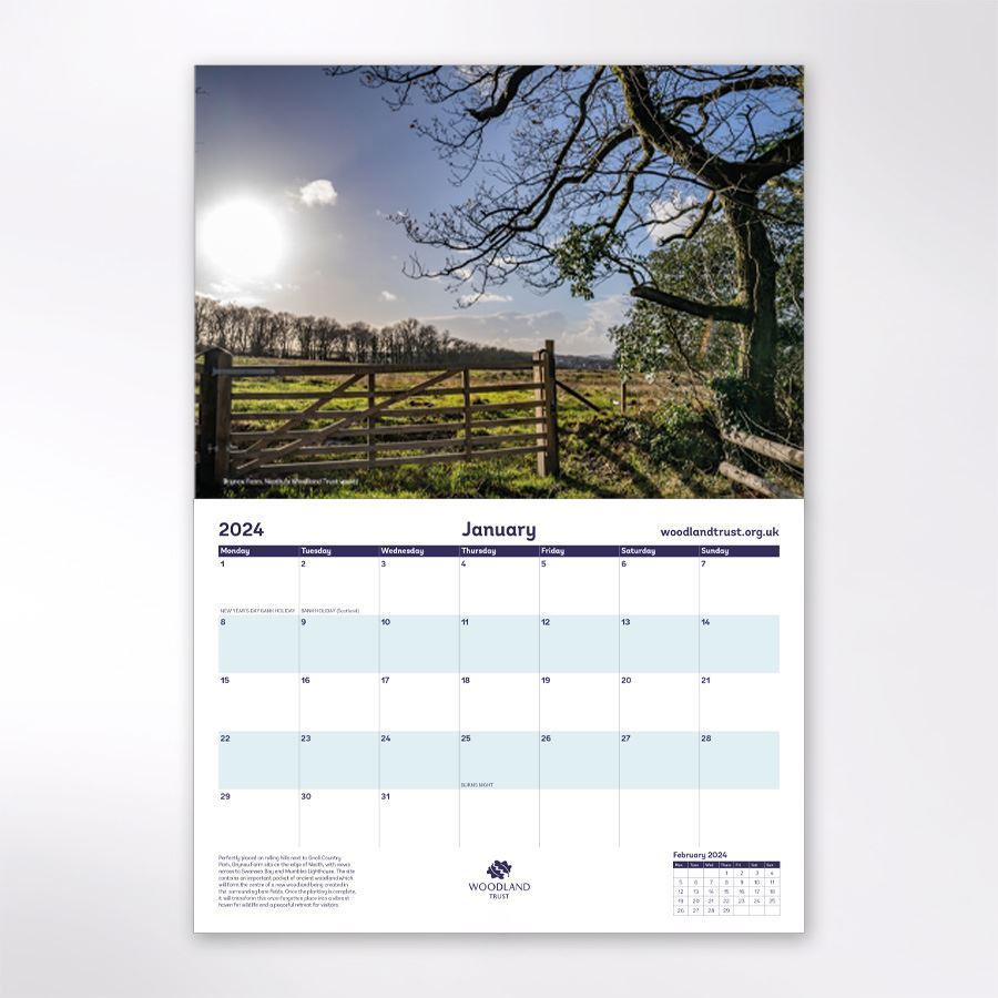 Woodland Trust Tree & Woods Calendar 2024 Woodland Trust Shop