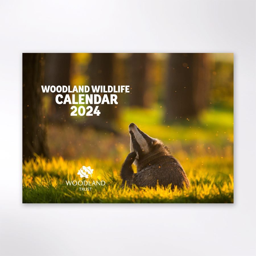 Woodland Trust wildlife calendar 2024 Woodland Trust shop Woodland