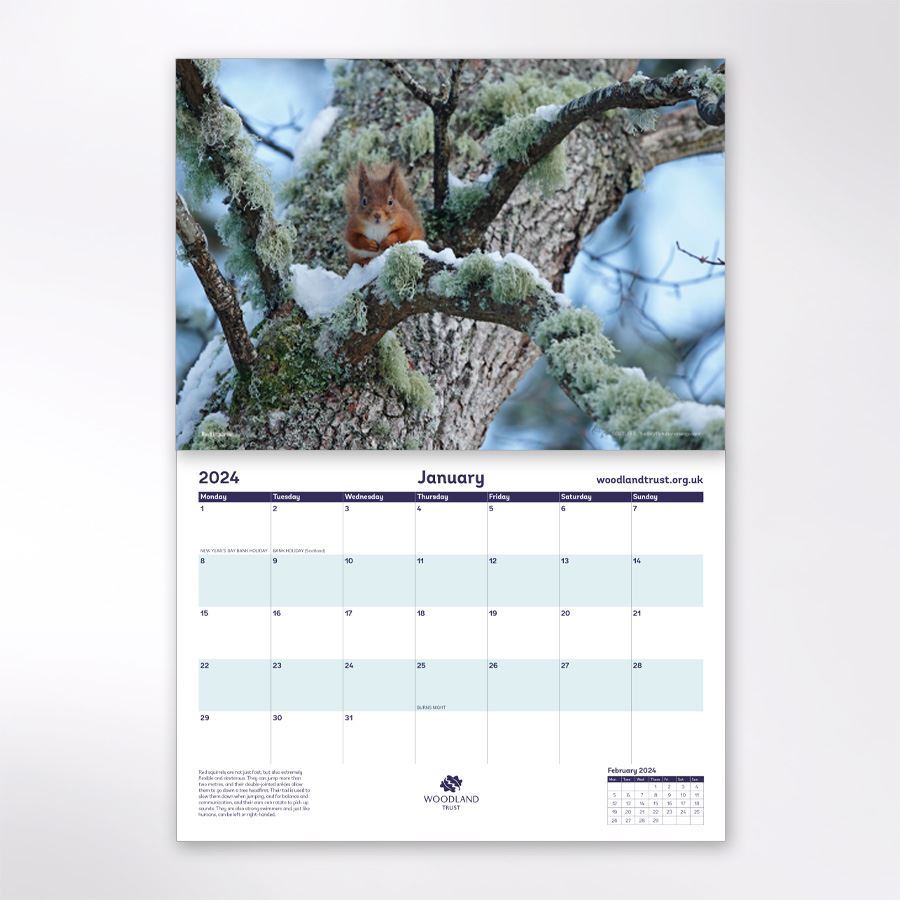 Woodland Trust wildlife calendar 2024 - Woodland Trust shop | Woodland