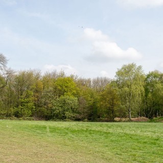 Copse tree pack – Watnall Copice