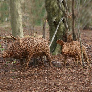 Working wood tree pack – willow weaving