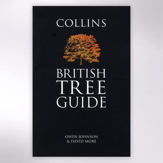 Collins British Tree Guide book