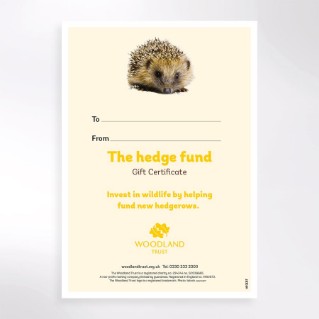 The hedge fund virtual gift certificate
