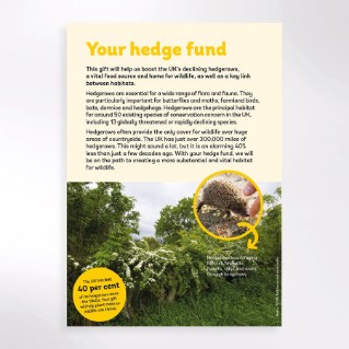 The hedge fund virtual gift certificate reverse