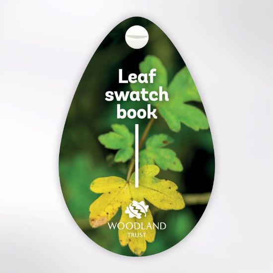 Woodland Trust leaf swatch book