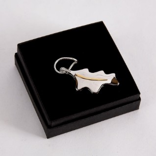 Ash keepsake jewellery, necklace pendant and chain - Woodland Trust