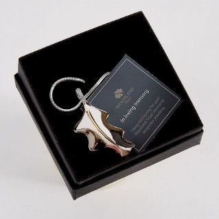 Ash keepsake jewellery, necklace pendant and chain - Woodland Trust