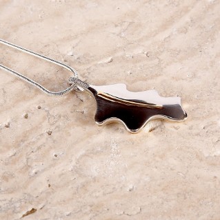 Ash keepsake jewellery, necklace pendant and chain - Woodland Trust