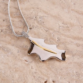 Ash keepsake jewellery, necklace pendant and chain - Woodland Trust