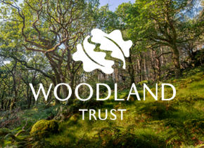 Picture for category Woodland Trust gifts