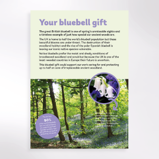 Picture of Keep bluebells blooming