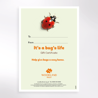 Picture of It's a bug's life