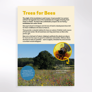 Picture of Trees for bees