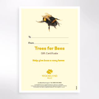 Picture of Trees for bees