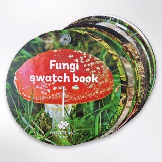 Picture of Woodland Trust fungi swatch book