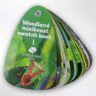 Picture of Woodland Trust minibeast swatch book