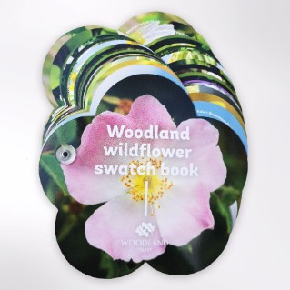 Picture of Woodland Trust wildflowers swatch book