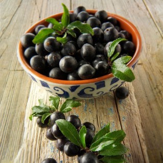 Picture of Fruit and nut mix