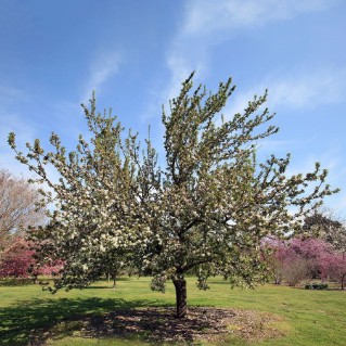 Picture of Fruit and nut mix