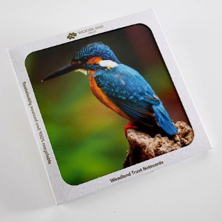 Woodland Trust spring joy notecards