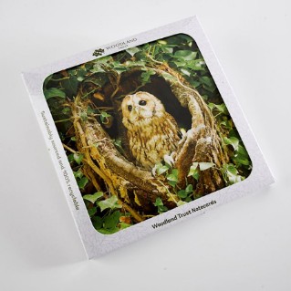 Woodland Trust cooler months notecards