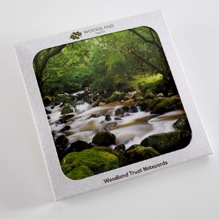 Woodland Trust notelets - woodland