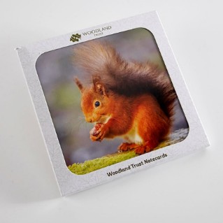 Woodland Trust notelets - woodland wildlife