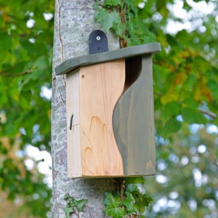 Simon King Curve cavity nestbox perfect for a variety of small birds