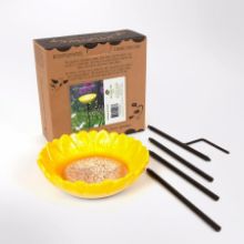 Sunflower bird feeder Woodland Trust ceramic sunflower bird feeder