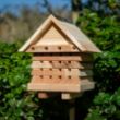 Woodland Trust solitary bee hive lifestyle