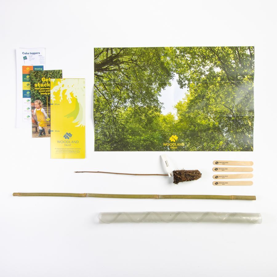 Tree planting events kit For Sale - Woodland Trust | Woodland Trust Shop