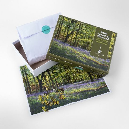 Picture of Woodland Trust spring bluebells jigsaw